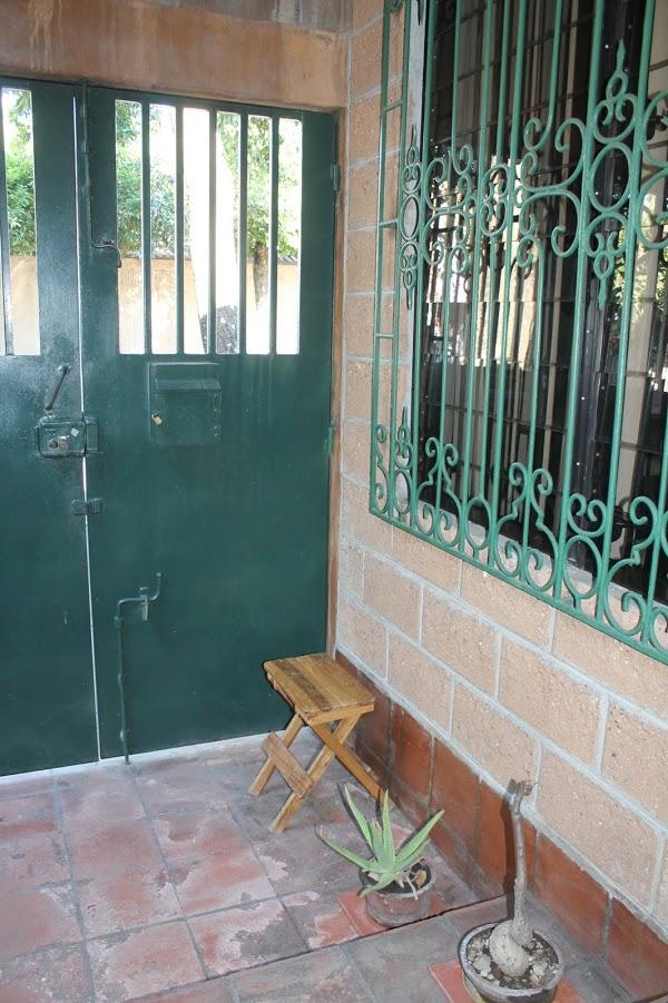 Imagen 14 Indoor Plant foto