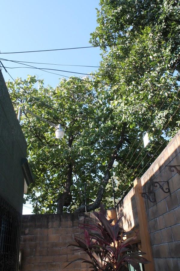 Imagen 7 Lys Cines foto