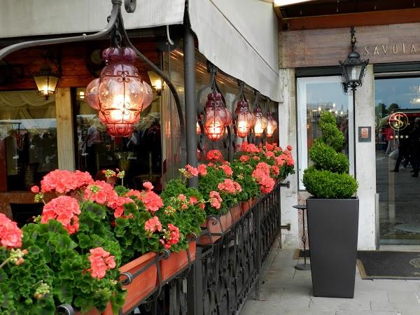 Imagen 21 Kirkland's foto