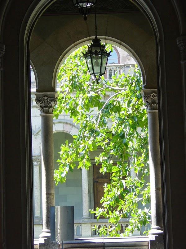 Imagen 11 Ciclo Triana foto