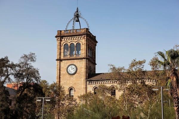 Imagen 17 Ciclo Triana foto