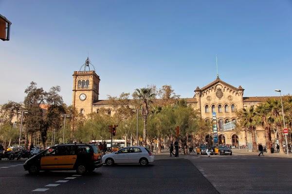 Imagen 5 Ciclo Triana foto