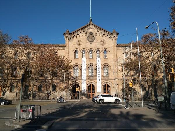 Imagen 52 Ciclo Triana foto