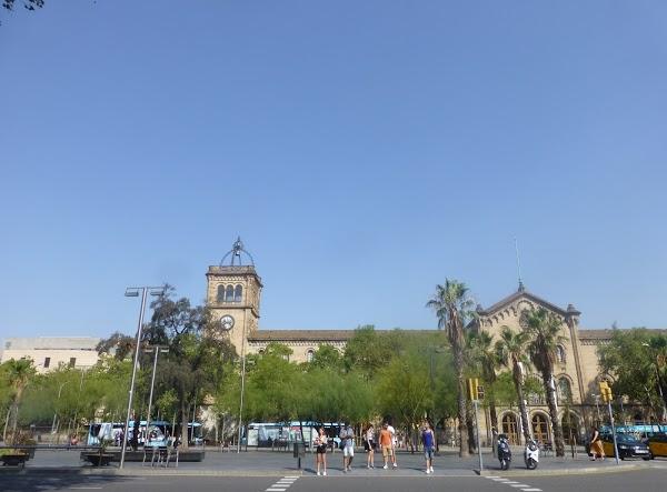 Imagen 53 Ciclo Triana foto