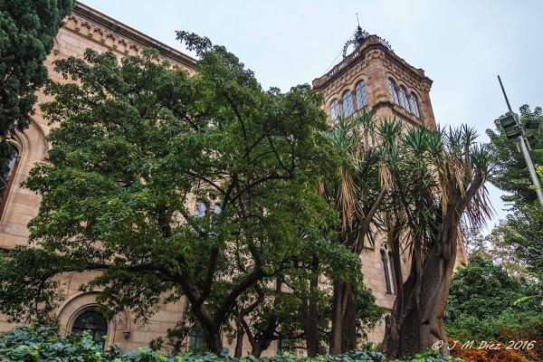 Imagen 54 Ciclo Triana foto