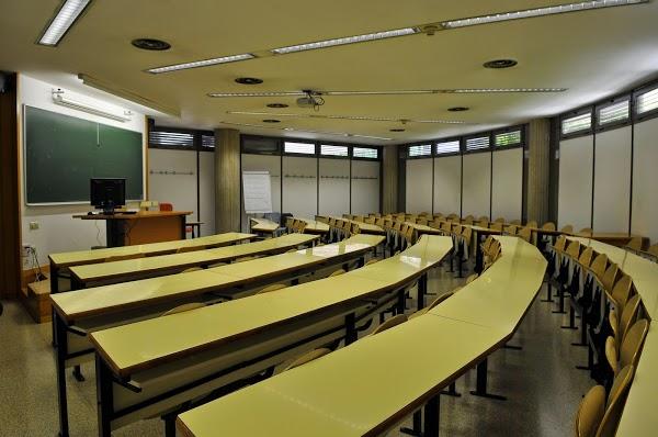 Imagen 58 Ciclo Triana foto