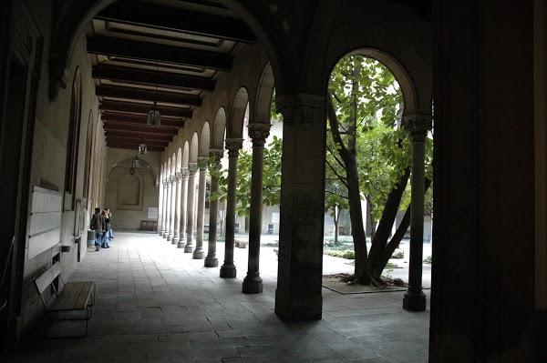 Imagen 10 Ciclo Triana foto