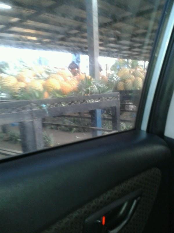 Imagen 22 Frimorife SL foto