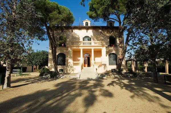 Imagen 31 Gala Diseño en Muebles foto