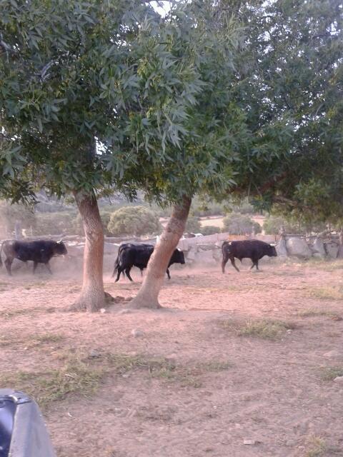 Imagen 6 Gala Diseño en Muebles foto