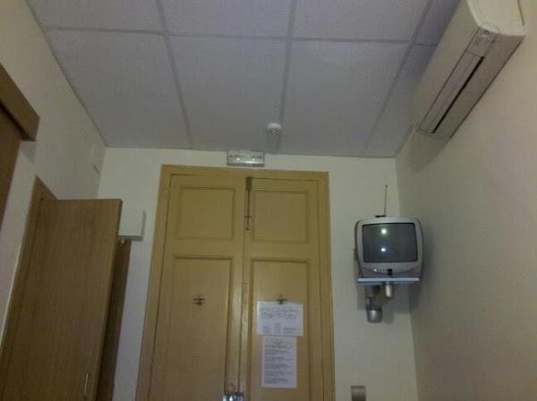 Imagen 1 Veterpet S.l. foto