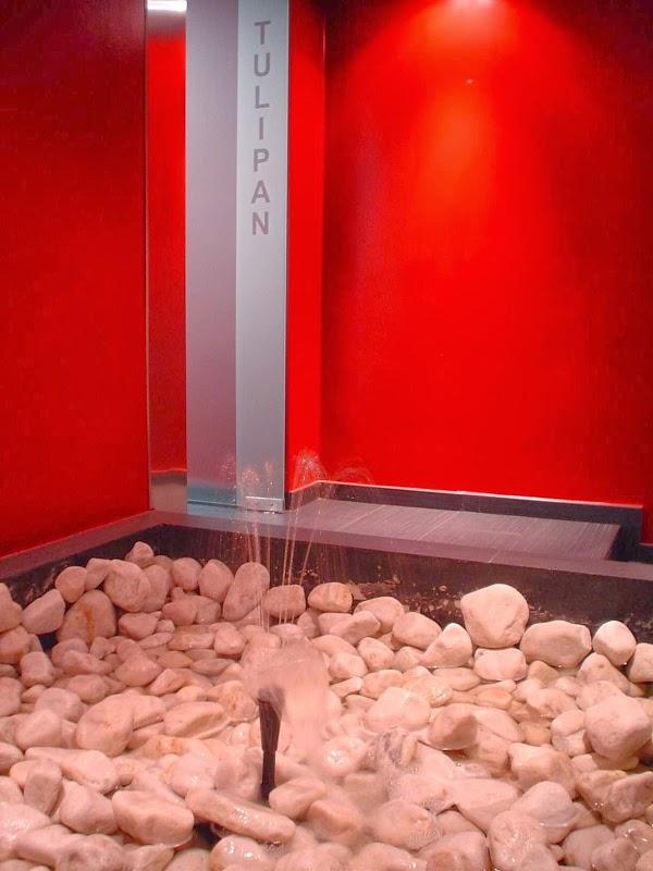 Imagen 14 Bodegas F. Salado foto