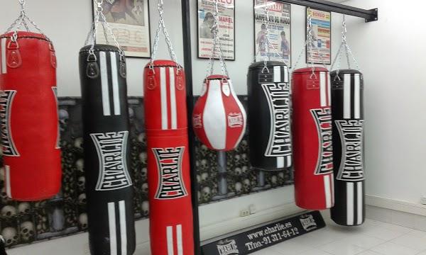 Imagen 27 Bodegas F. Salado foto