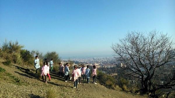 Imagen 7 GIRONINA, S.L. foto