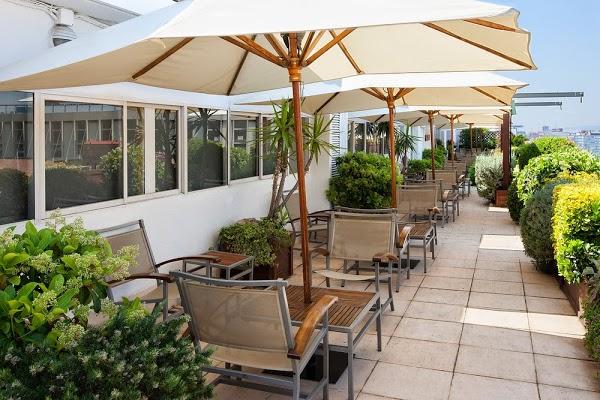 Imagen 21 Llibreria Index foto