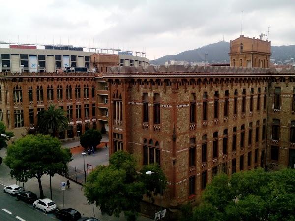 Imagen 43 Llibreria Index foto