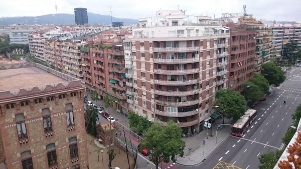 Imagen 49 Llibreria Index foto