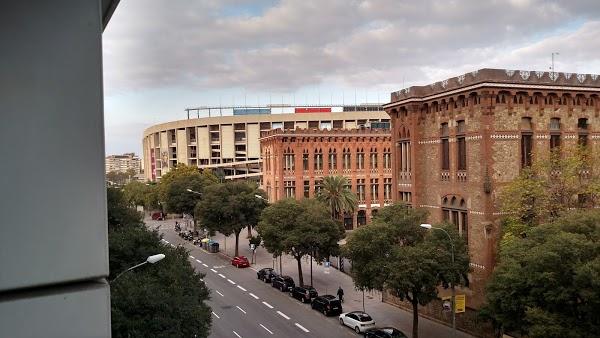 Imagen 51 Llibreria Index foto