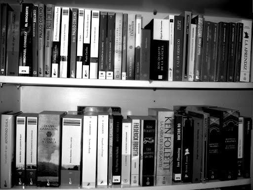 Imagen 91 Llibreria Index foto