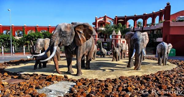 Imagen 81 Hotel Pulitzer Barcelona foto