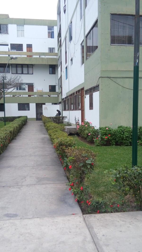 Imagen 19 CIB Canarias, s.l. foto