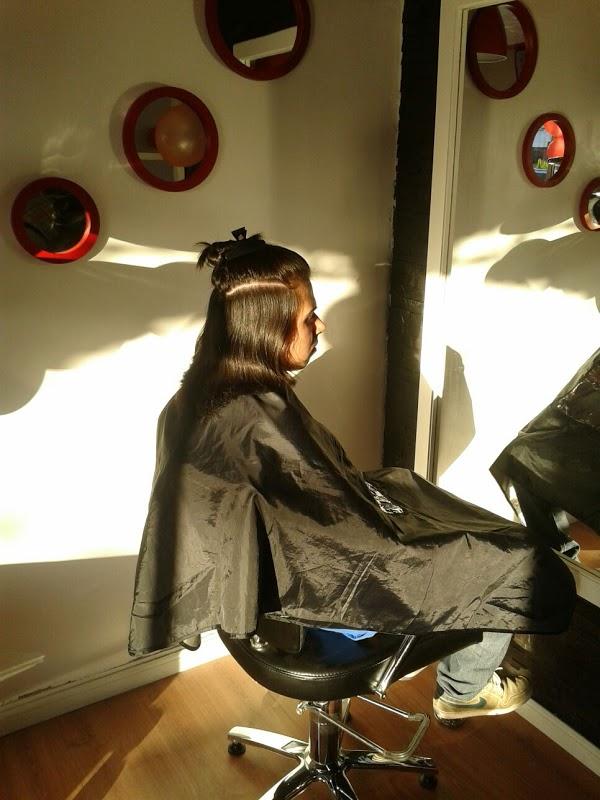 Imagen 15 kentia flores 7palmas foto