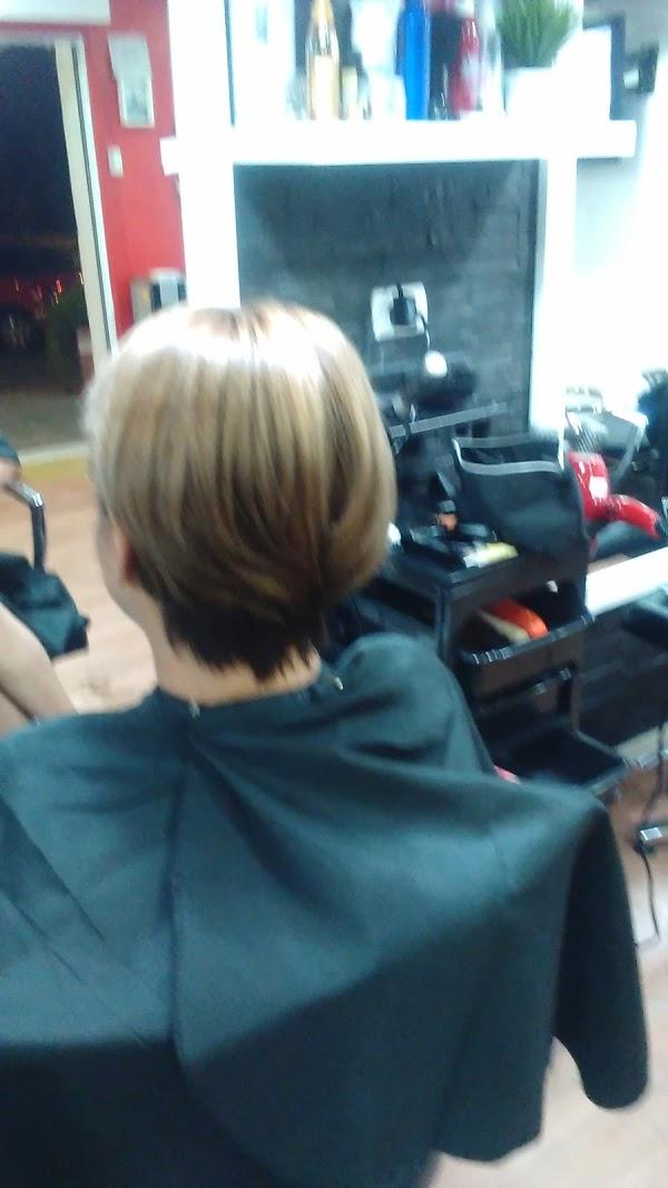 Imagen 16 kentia flores 7palmas foto