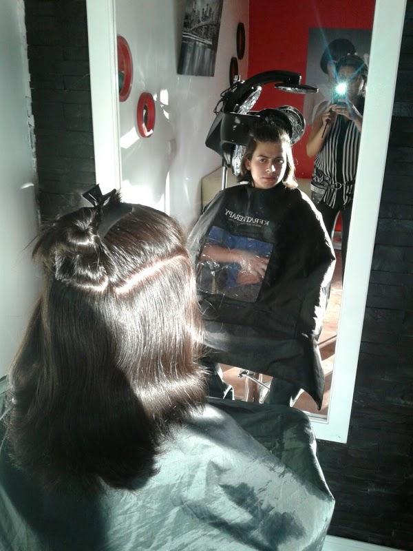 Imagen 17 kentia flores 7palmas foto