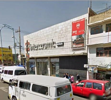 Imagen 21 kentia flores 7palmas foto