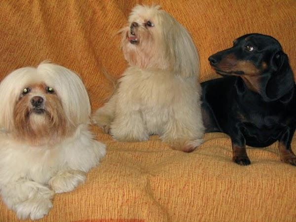 Imagen 8 Hotel Londres et New York Paris foto