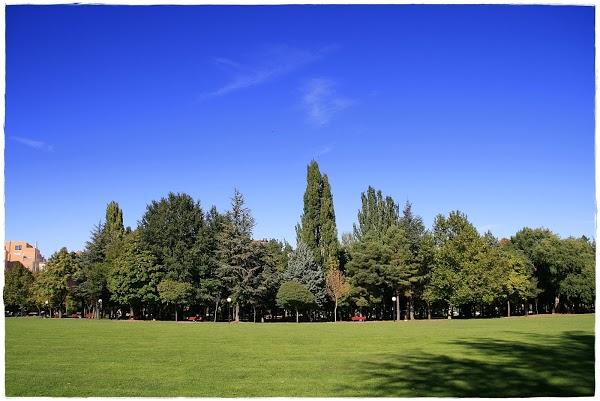 Imagen 18 Farmacia Ortopedia García Hernando foto