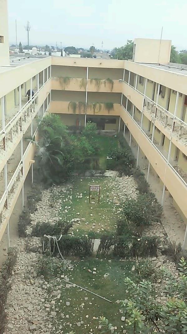 Imagen 48 El Rincón del Gordo foto