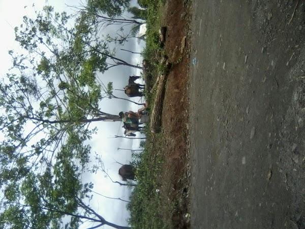 Imagen 1 Luis Donaldo Colosio Murrieta foto