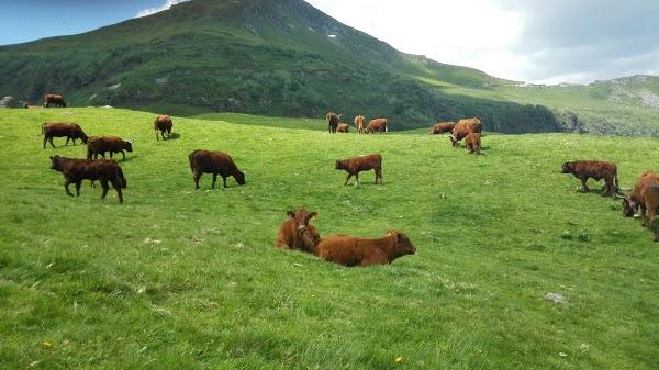 Imagen 36 El Pato Mareao foto