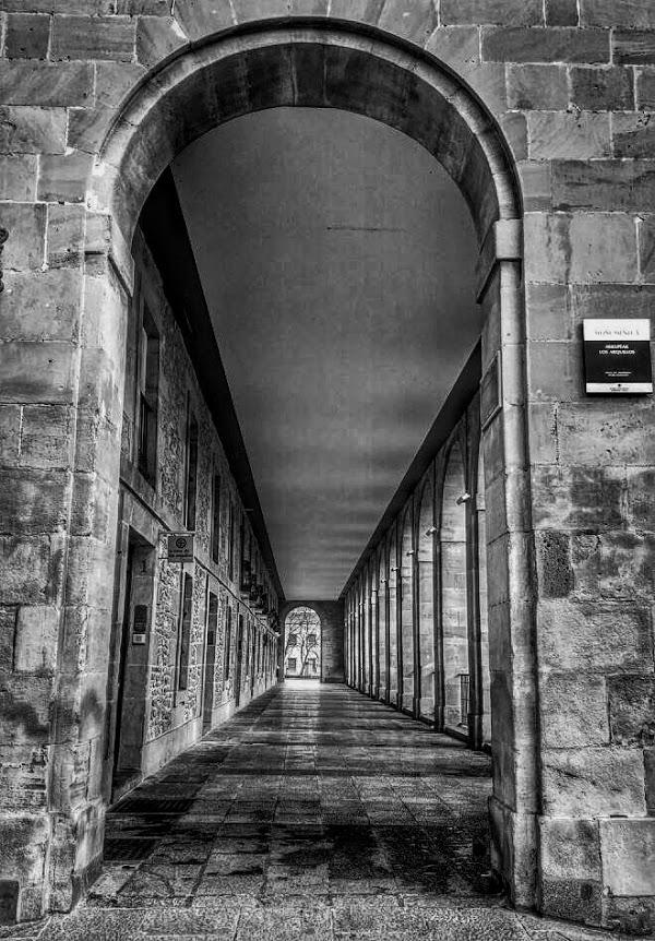 Imagen 1 Pistas Municipales Pádel foto