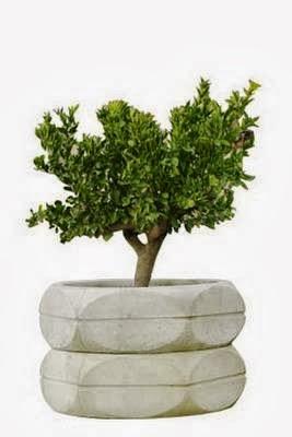 Imagen 12 DRA Isabel Ramirez Estrada foto