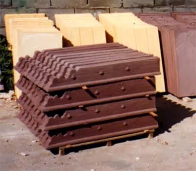 Imagen 21 DRA Isabel Ramirez Estrada foto