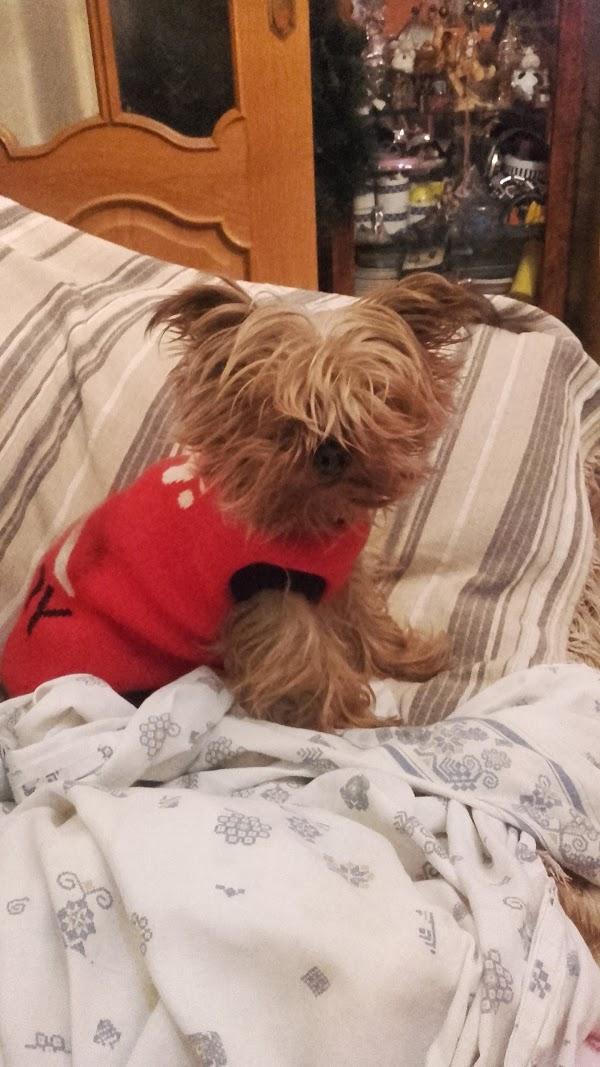 Imagen 33 DRA Isabel Ramirez Estrada foto