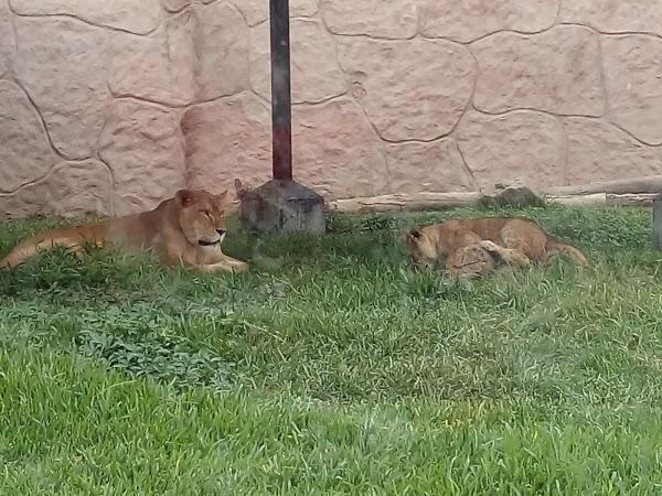 Imagen 50 Los Cristianos foto