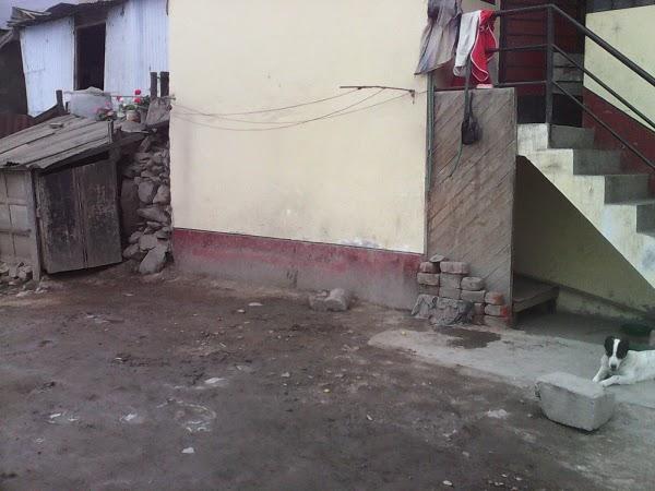 Imagen 51 Los Cristianos foto