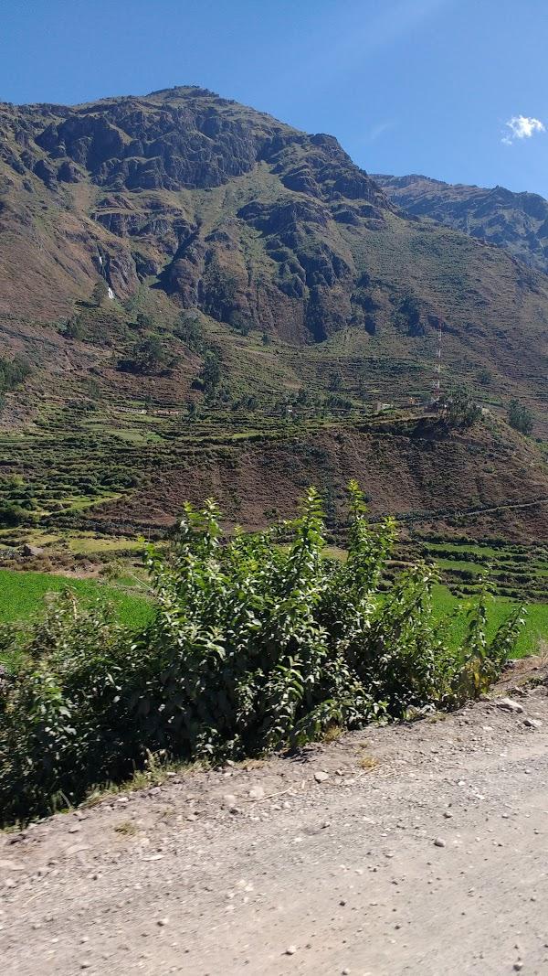 Imagen 65 Los Cristianos foto