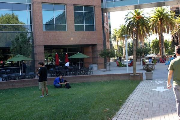 Imagen 16 UVM Campus Chapultepec foto