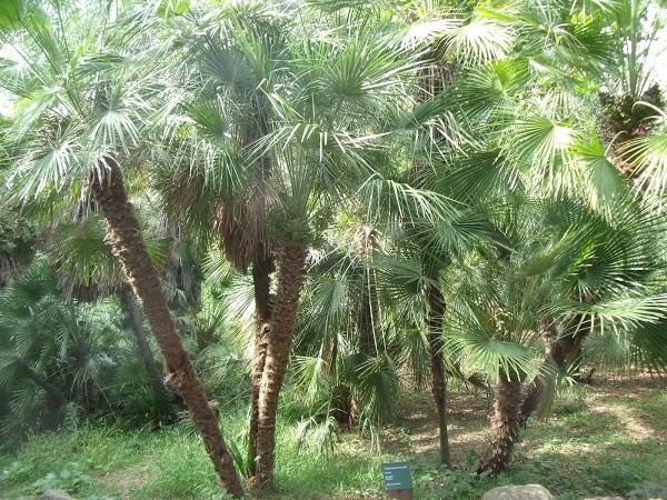 Imagen 24 UVM Campus Chapultepec foto