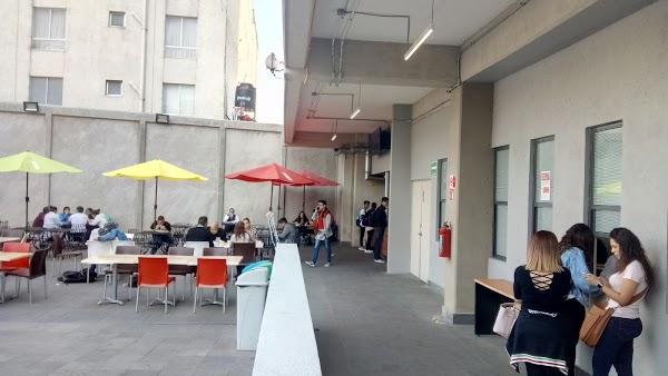 Imagen 98 UVM Campus Chapultepec foto