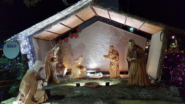 Imagen 112 Parque Bolivar foto