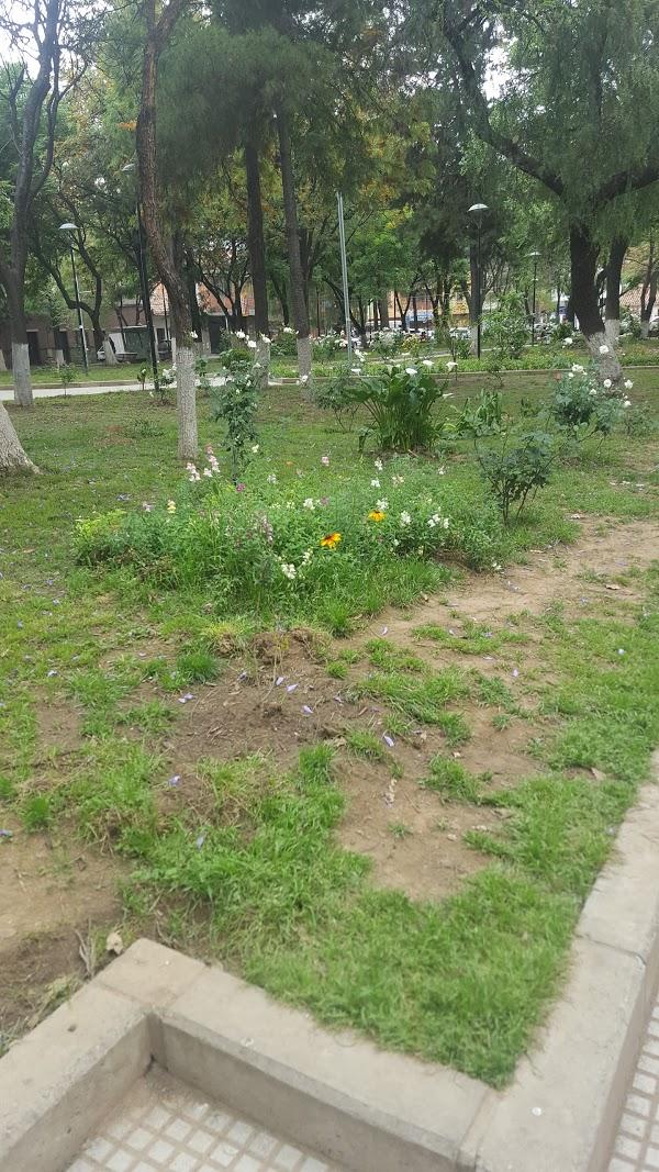 Imagen 126 Parque Bolivar foto