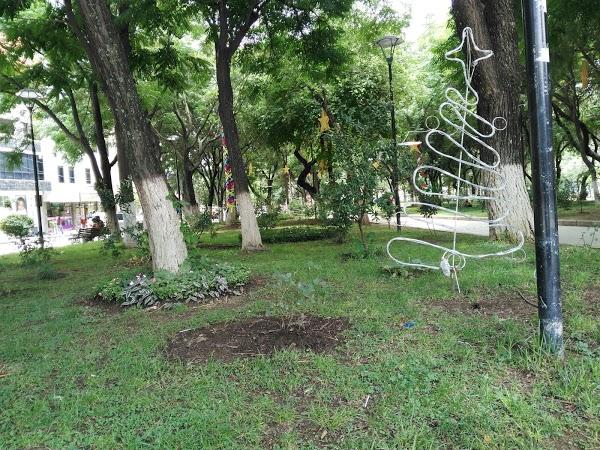 Imagen 130 Parque Bolivar foto