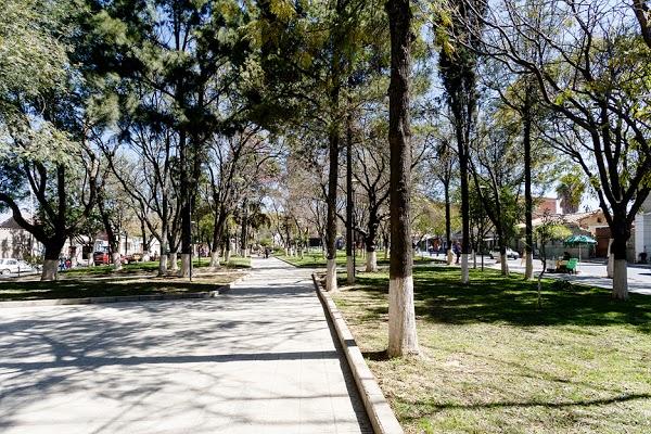 Imagen 10 Parque Bolivar foto