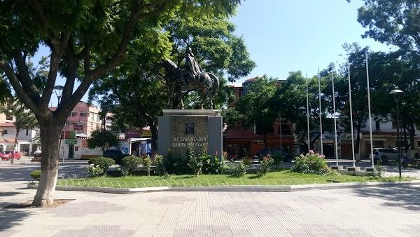 Imagen 91 Parque Bolivar foto