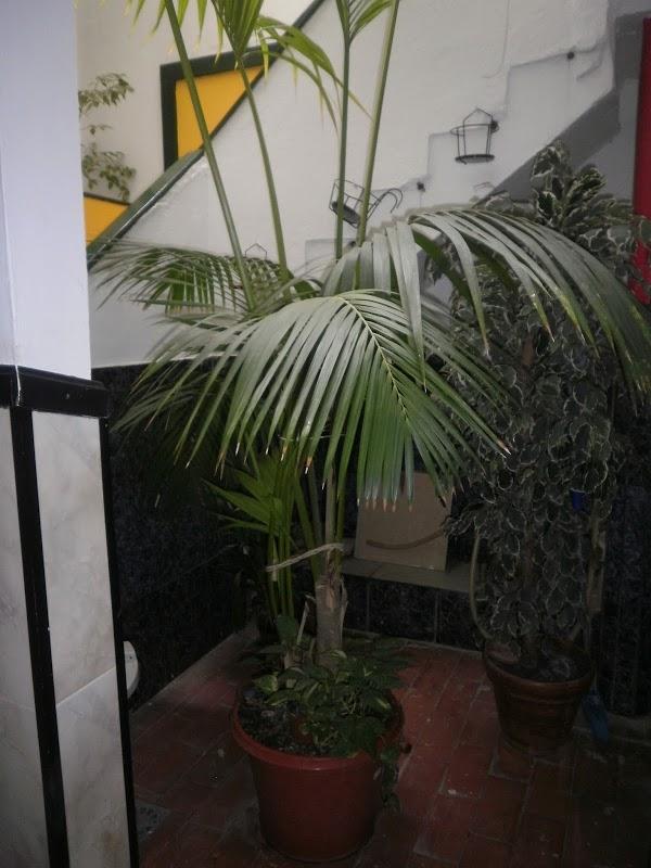 Imagen 13 Formación Financiera y Online UPV foto